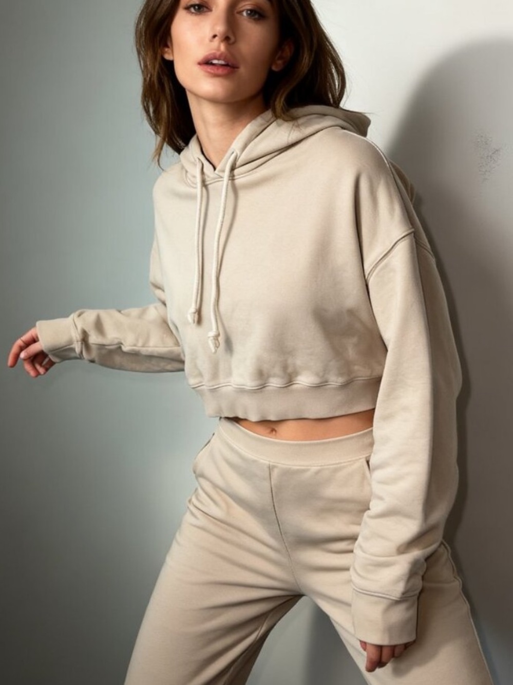 Wilfred Free Aritzia Heather Light Gray cropped Hoodie